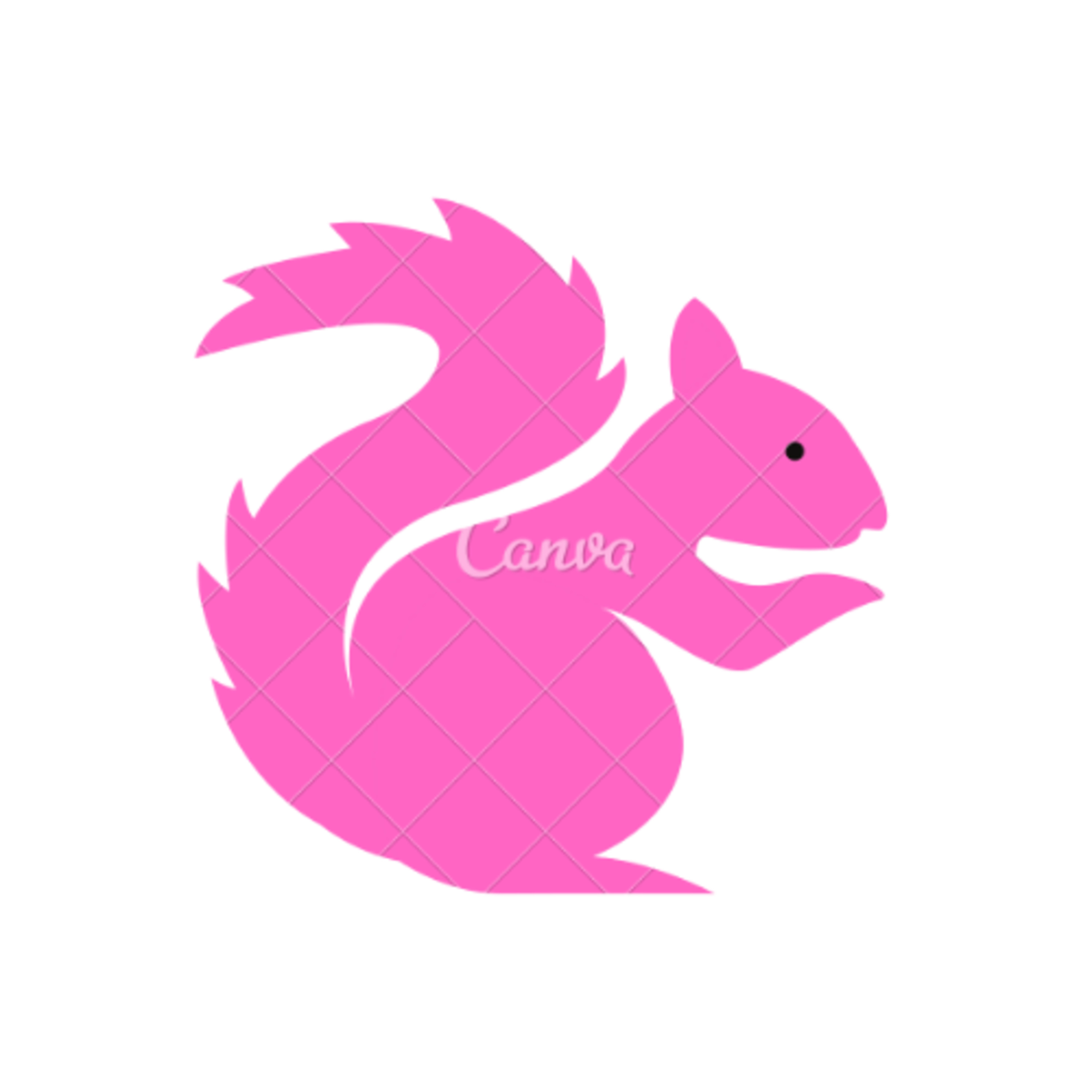 Blue Skies and Green Pastures with Paula Adams