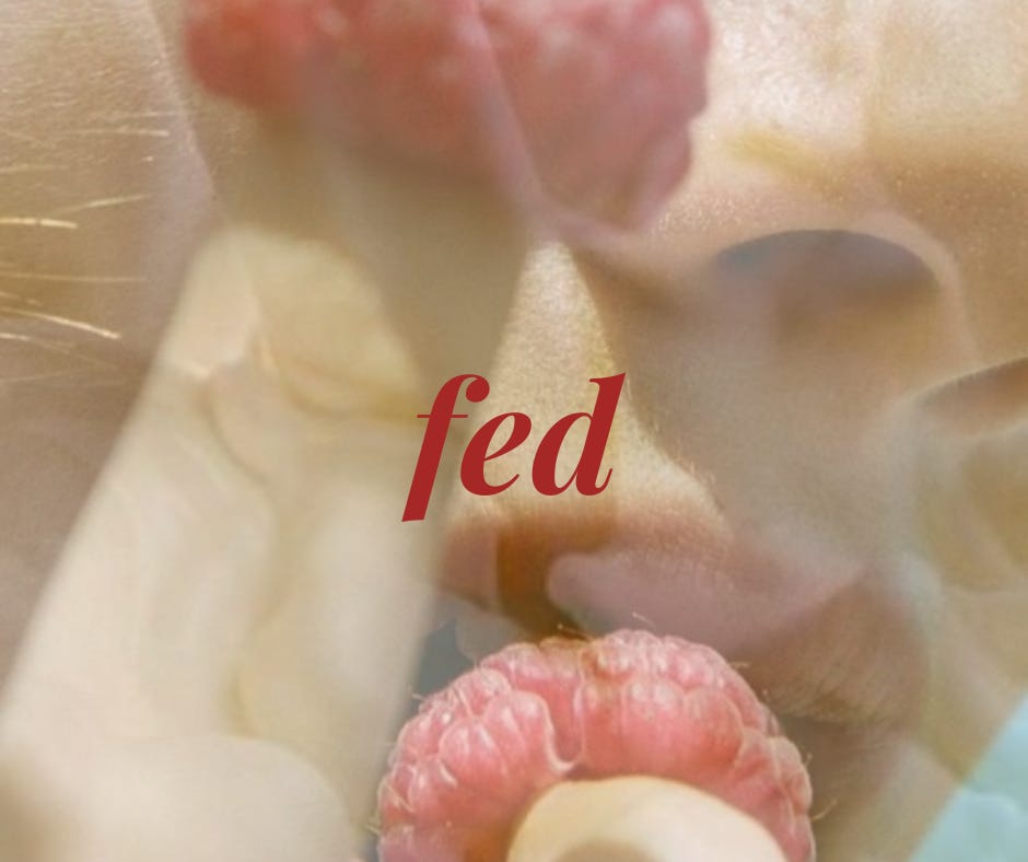 The Part Asking to be Fed episode artwork