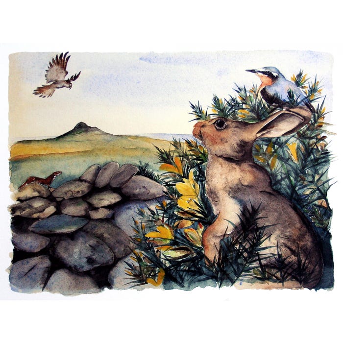 Gorse episode artwork