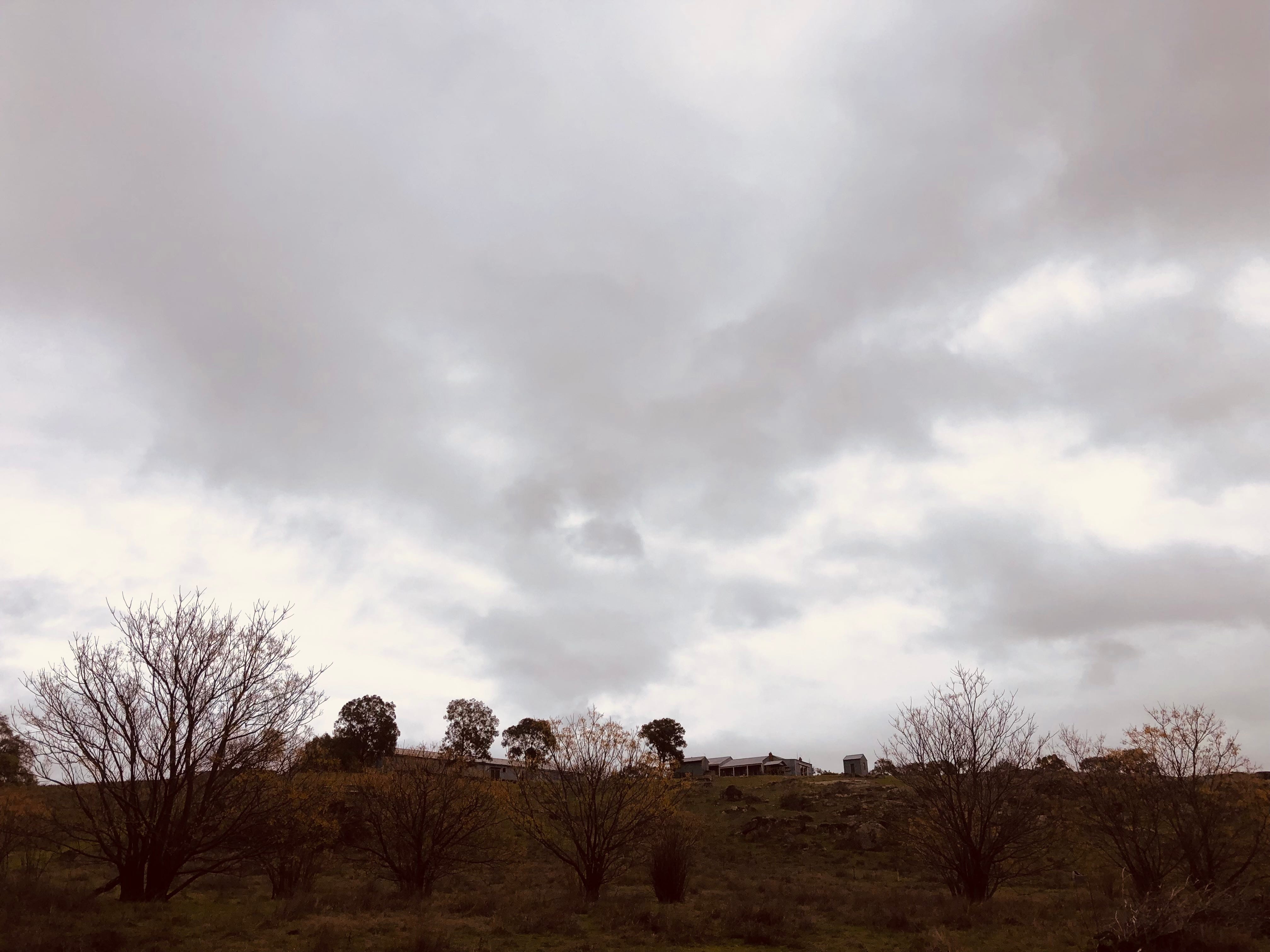 Galari Bila – Lusi Austin