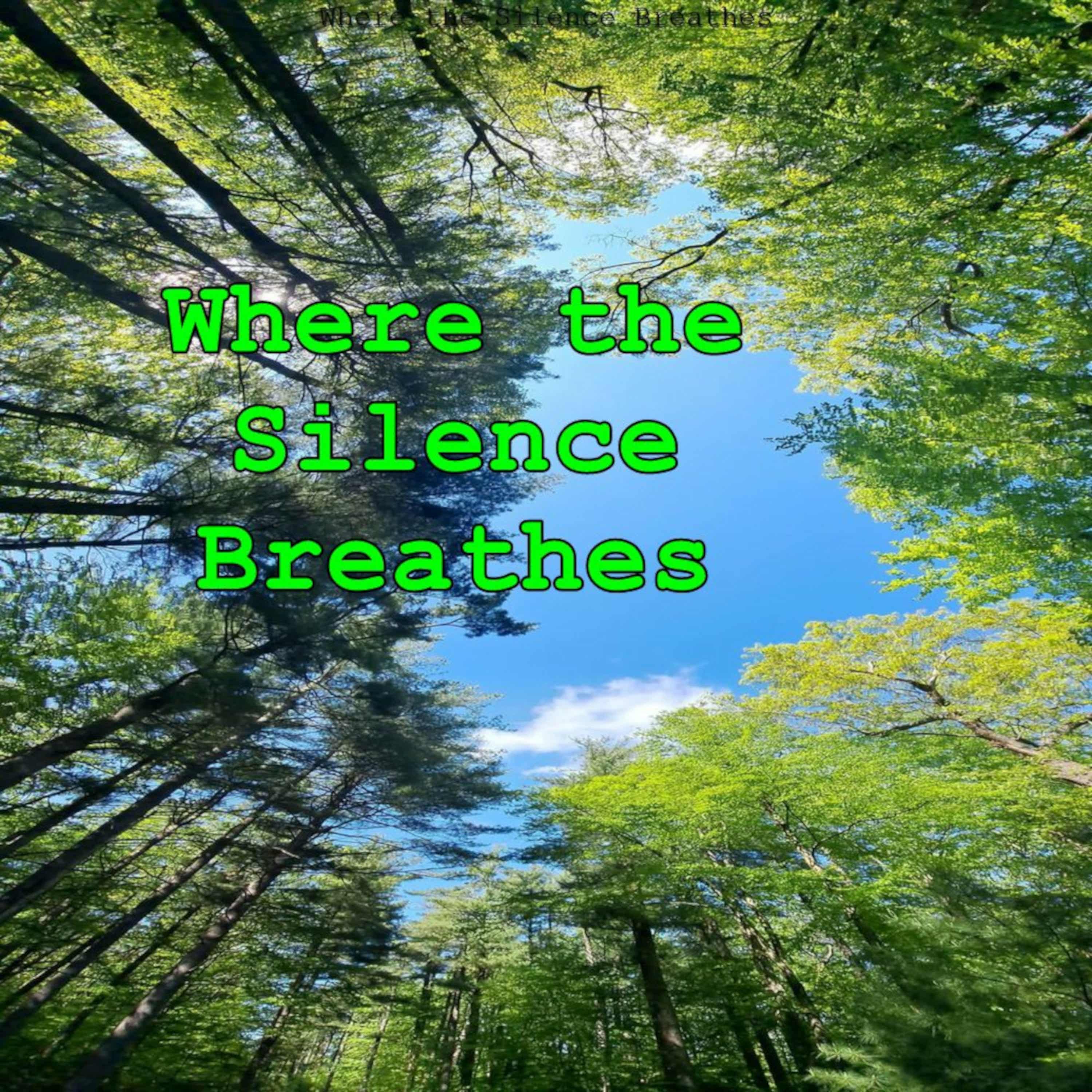 Where The Silence Breathes’s Substack Podcast podcast artwork