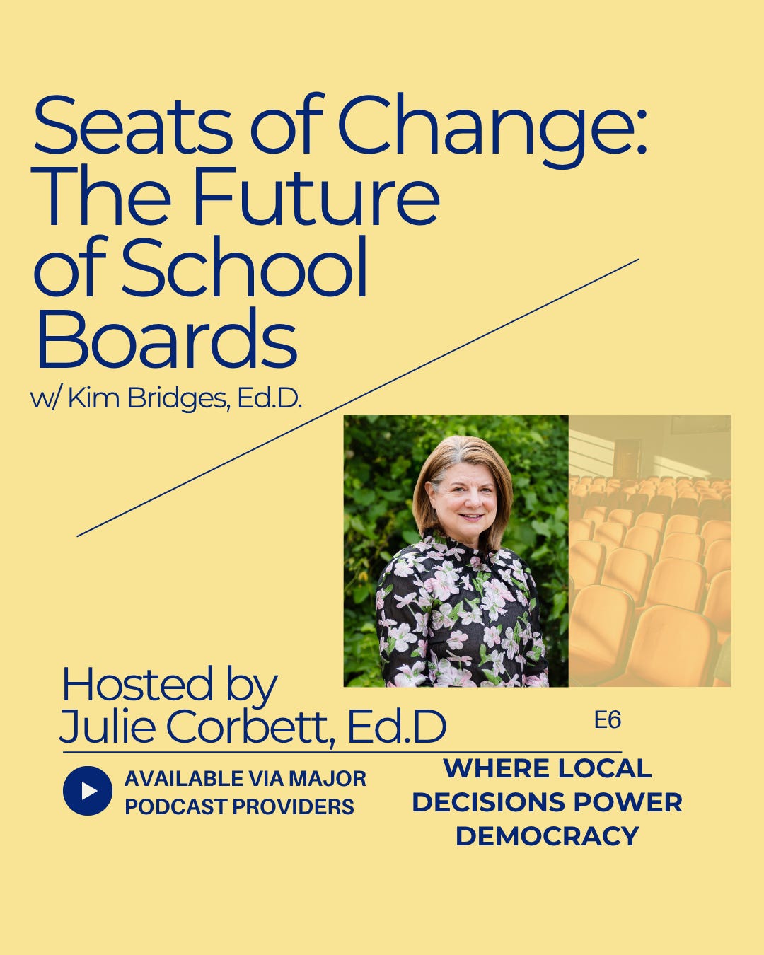 Redistricting, sustainable change, and trust building with Dr. Kim Bridges