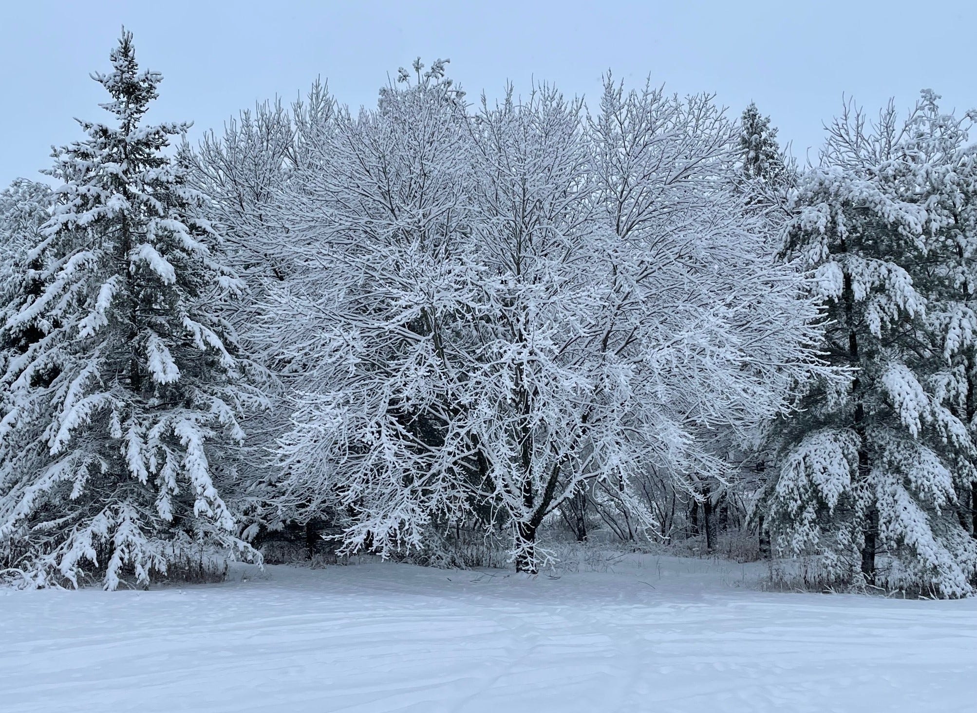 Bill’s Midwinter Music Blog