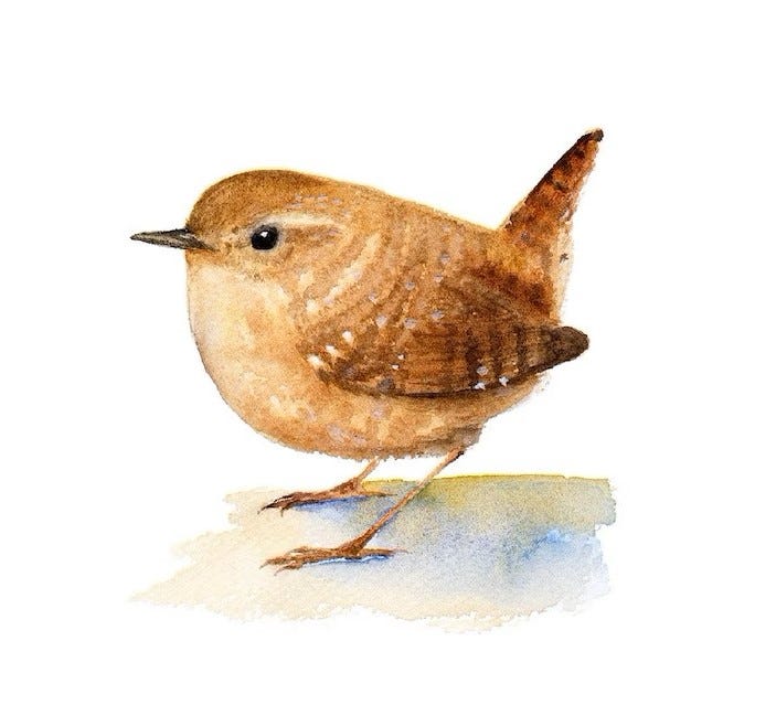 Bill’s Midwinter Music Blog