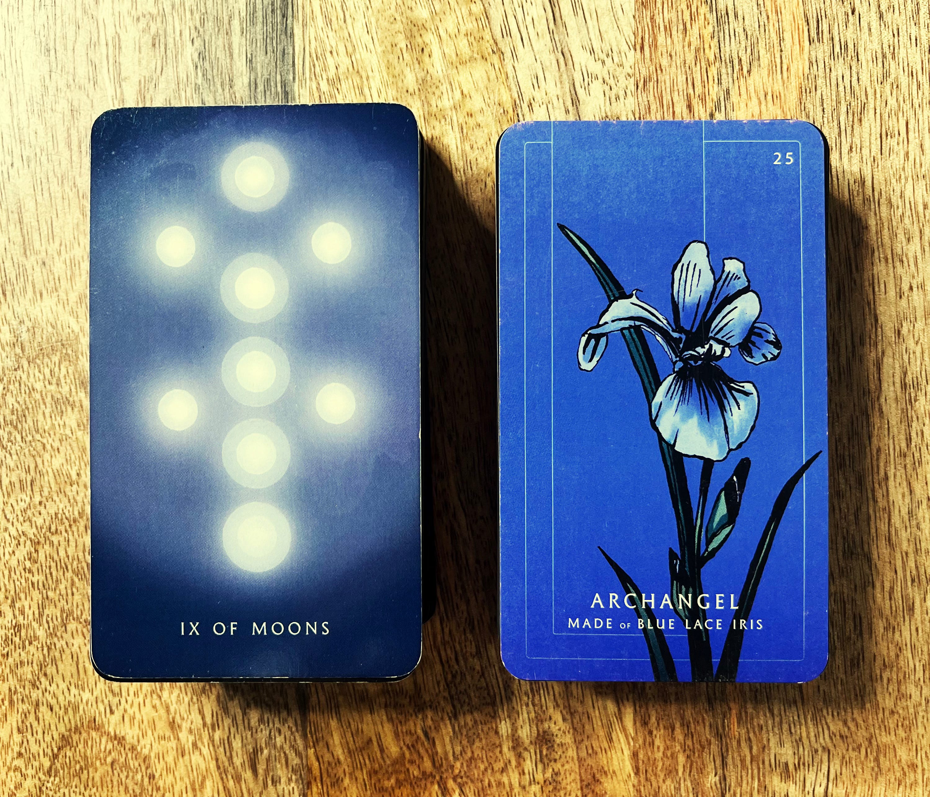 The Skeptical Shaman