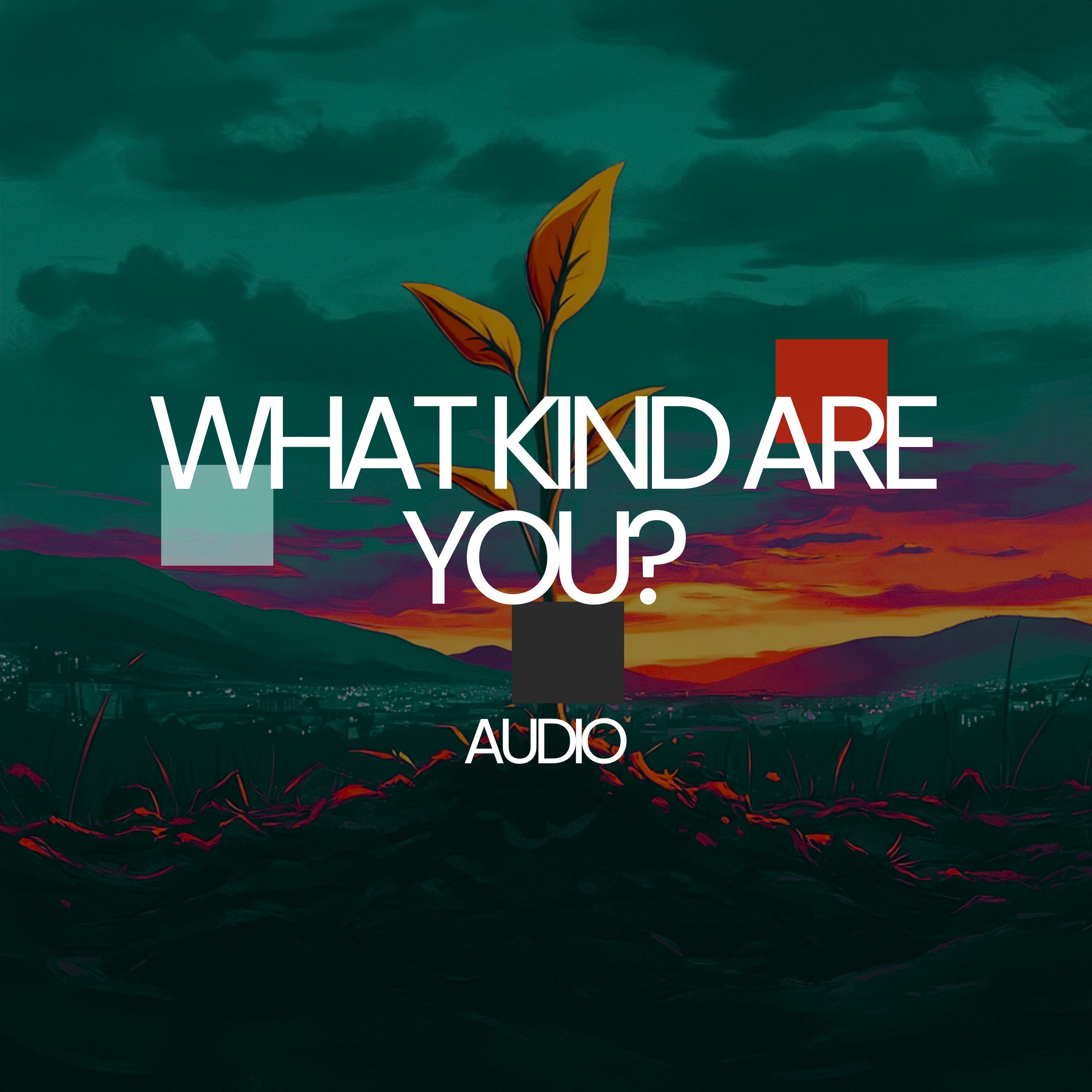 What Kind Are You? episode artwork