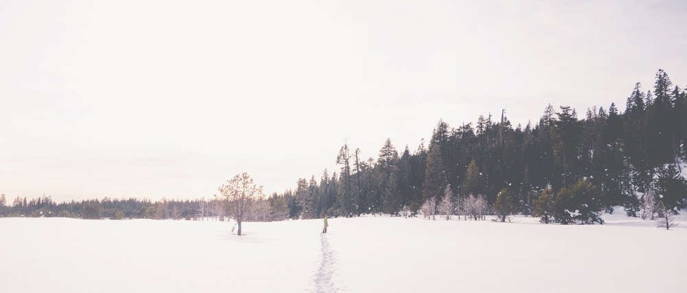 Winter Falls