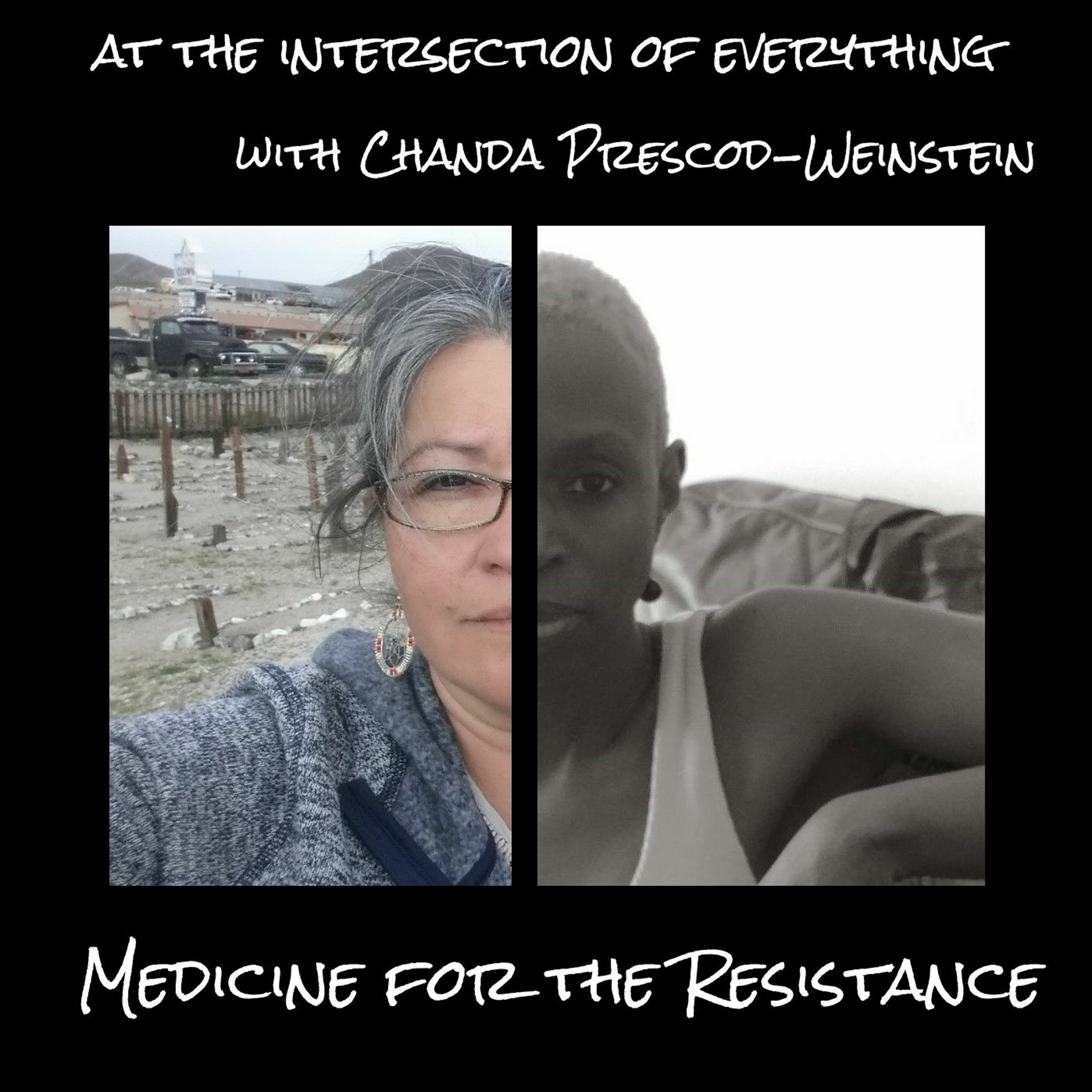 At the intersection of everything with Chanda Prescod-Weinstein
