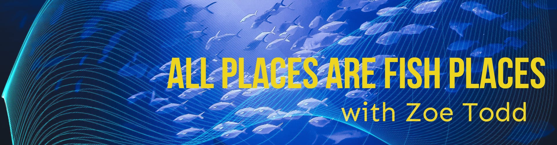 All places are fish places