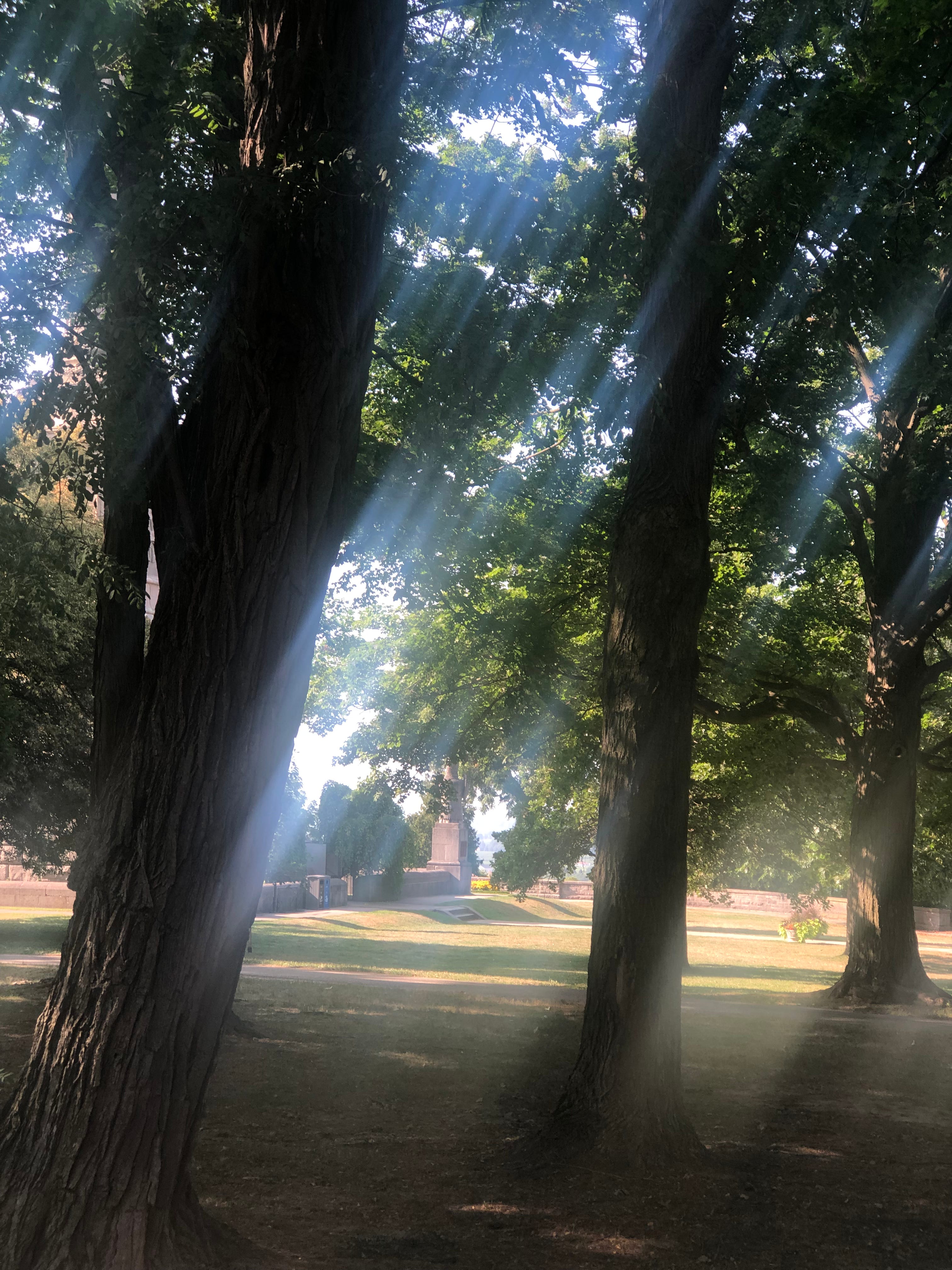 Drea\'s Couch Podcast