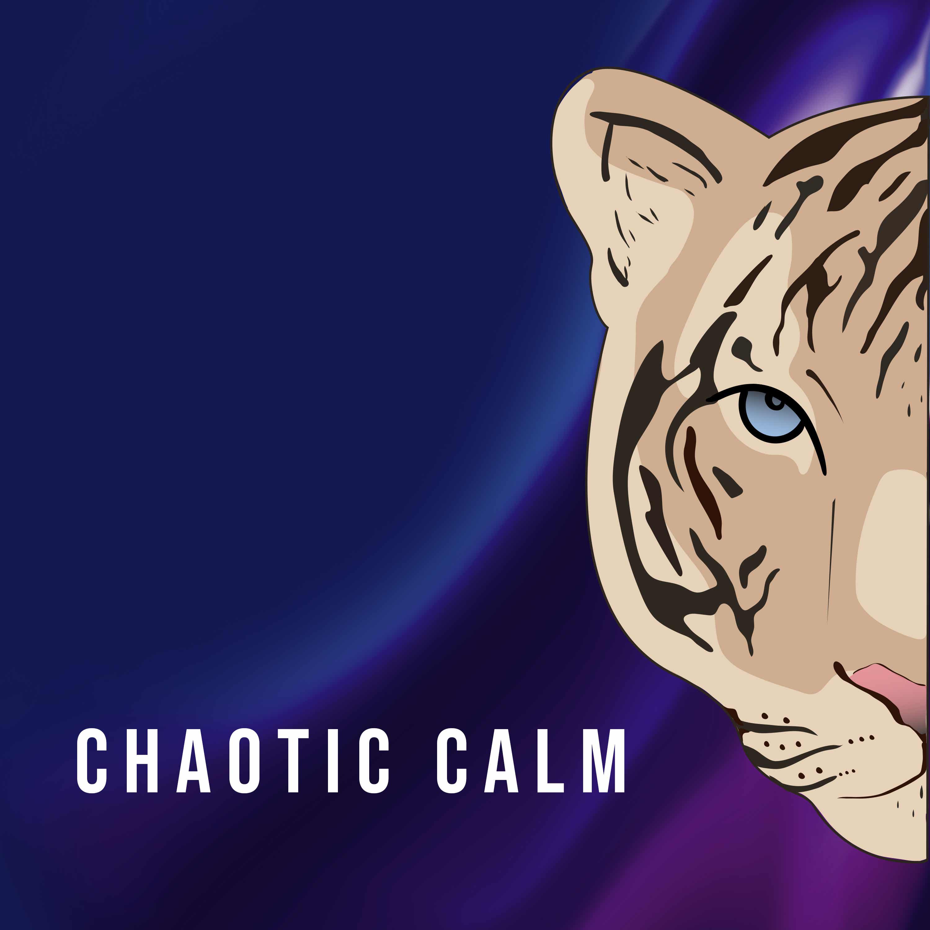 Chaotic Calm Podcast podcast artwork