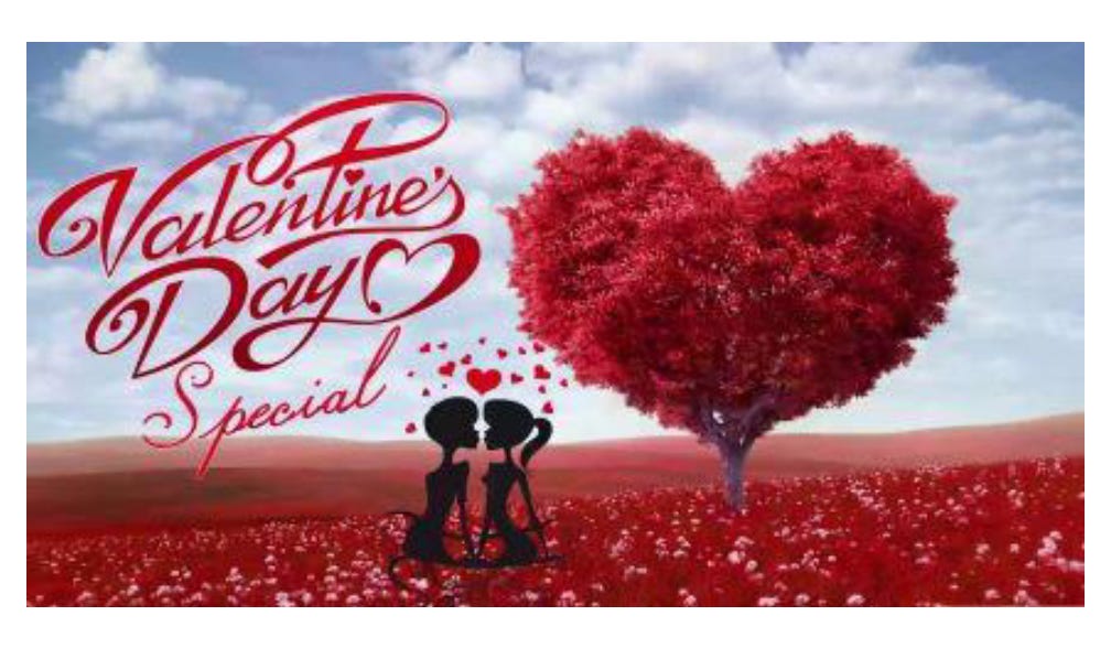 Wemton’s Newsletter