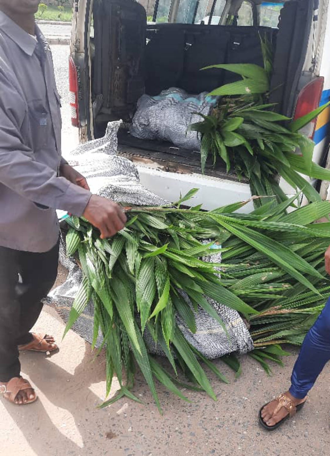 Wemton’s Newsletter