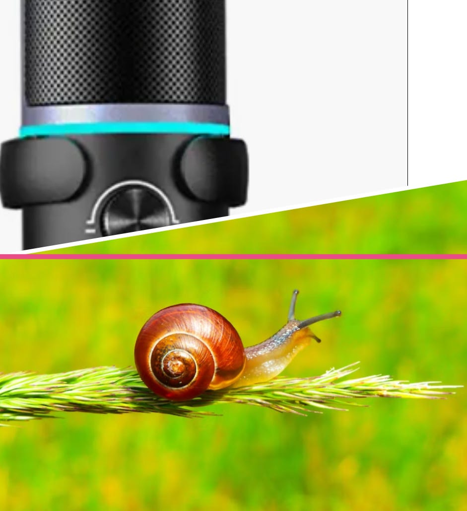 Wemton’s Newsletter