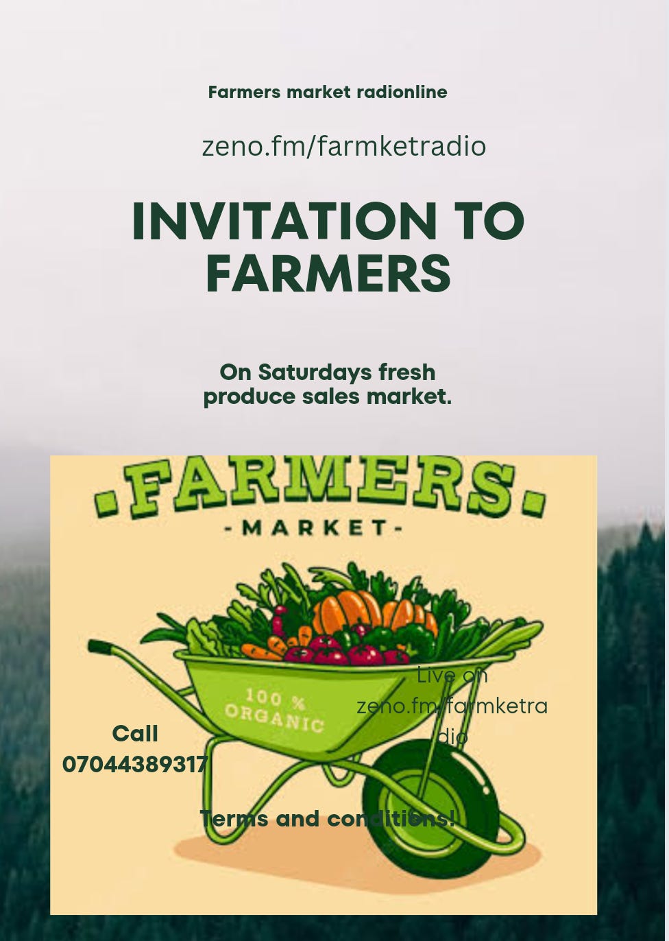 Wemton’s Newsletter