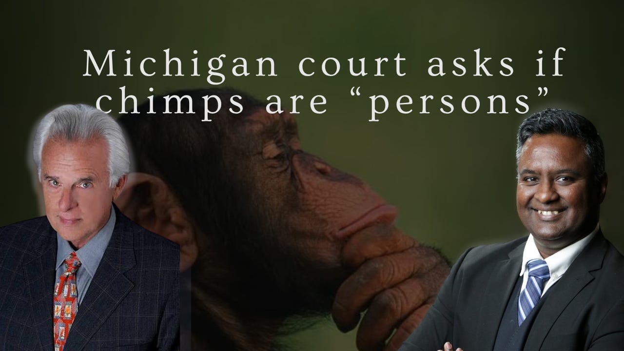 Michigan court asks if chimpanzees are “persons”  episode artwork
