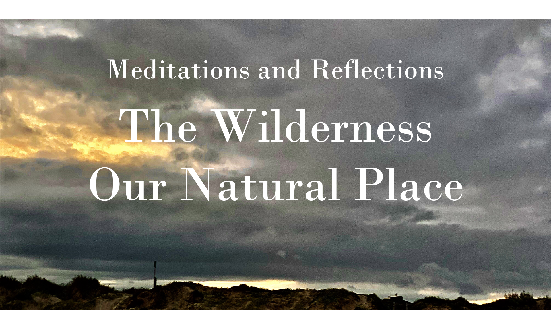 The Wilderness episode artwork