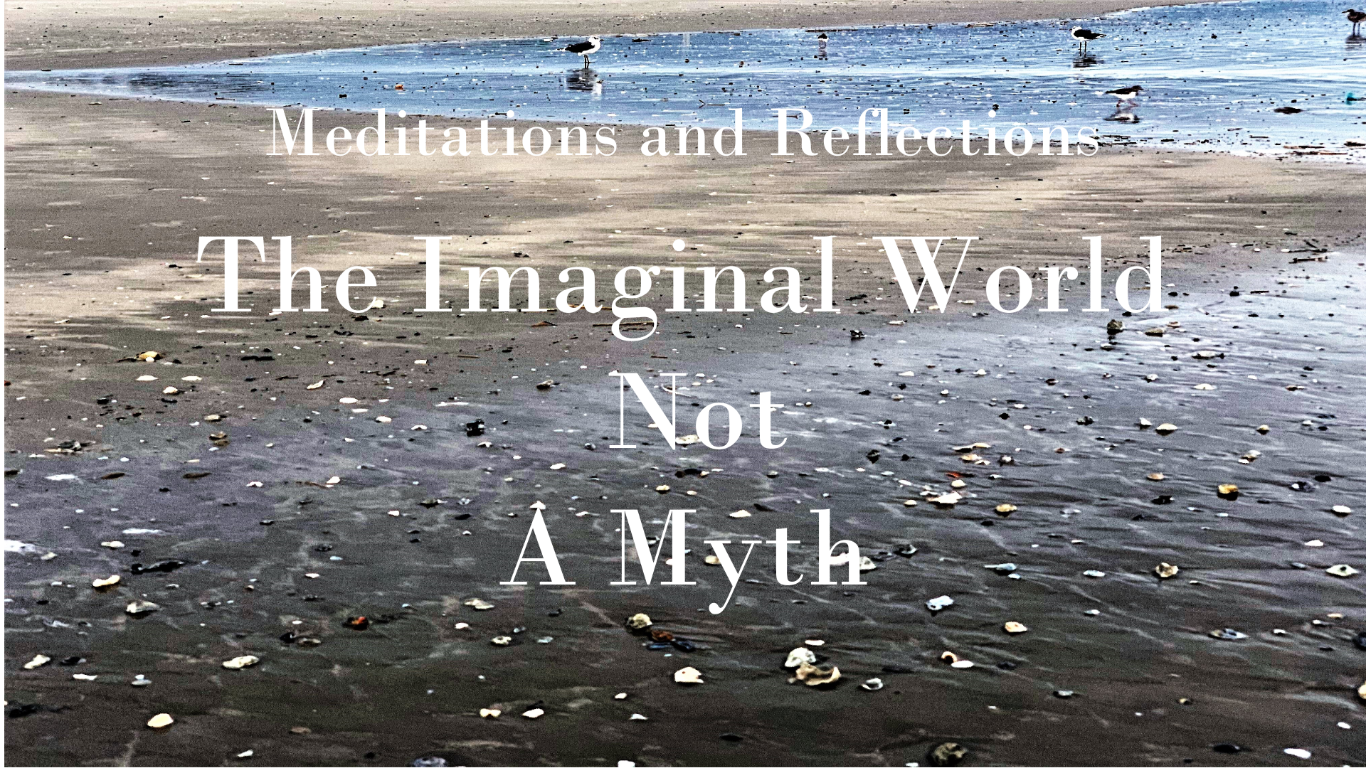 The Imaginal World episode artwork
