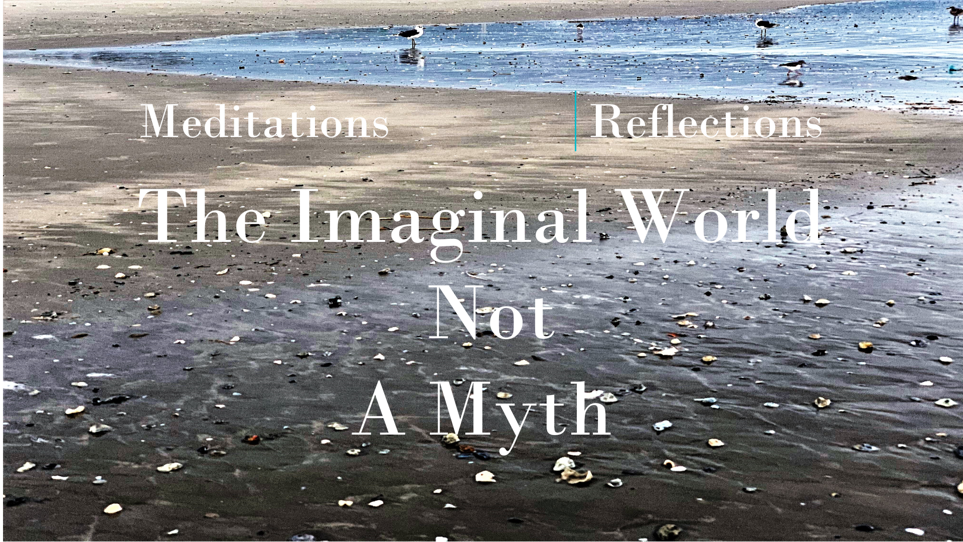 The Imaginal World episode artwork