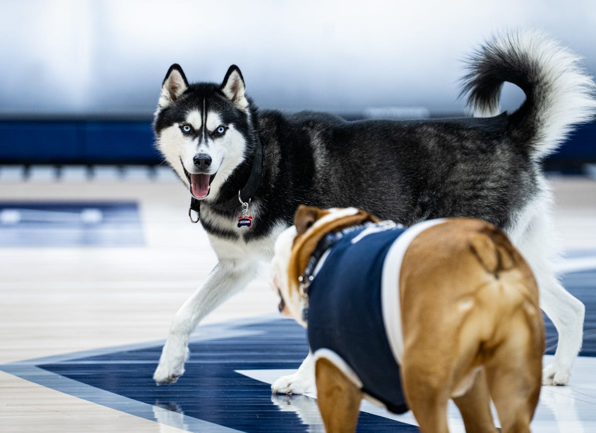 Winter (Break) is Coming Winter (Break) is Coming