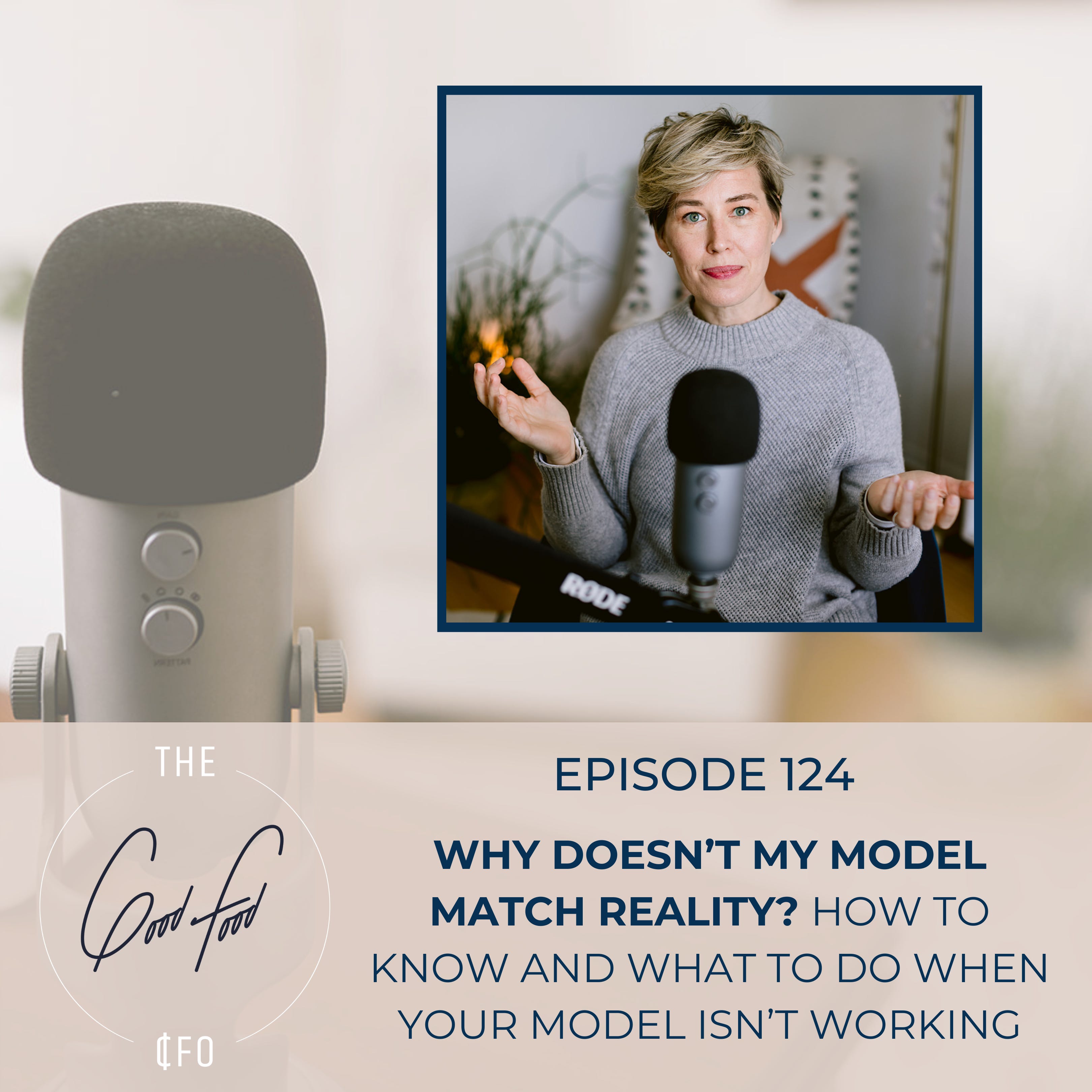 Why Doesn’t My Model Match Reality? How to Know and What to do When Your Model isn’t Working episode artwork