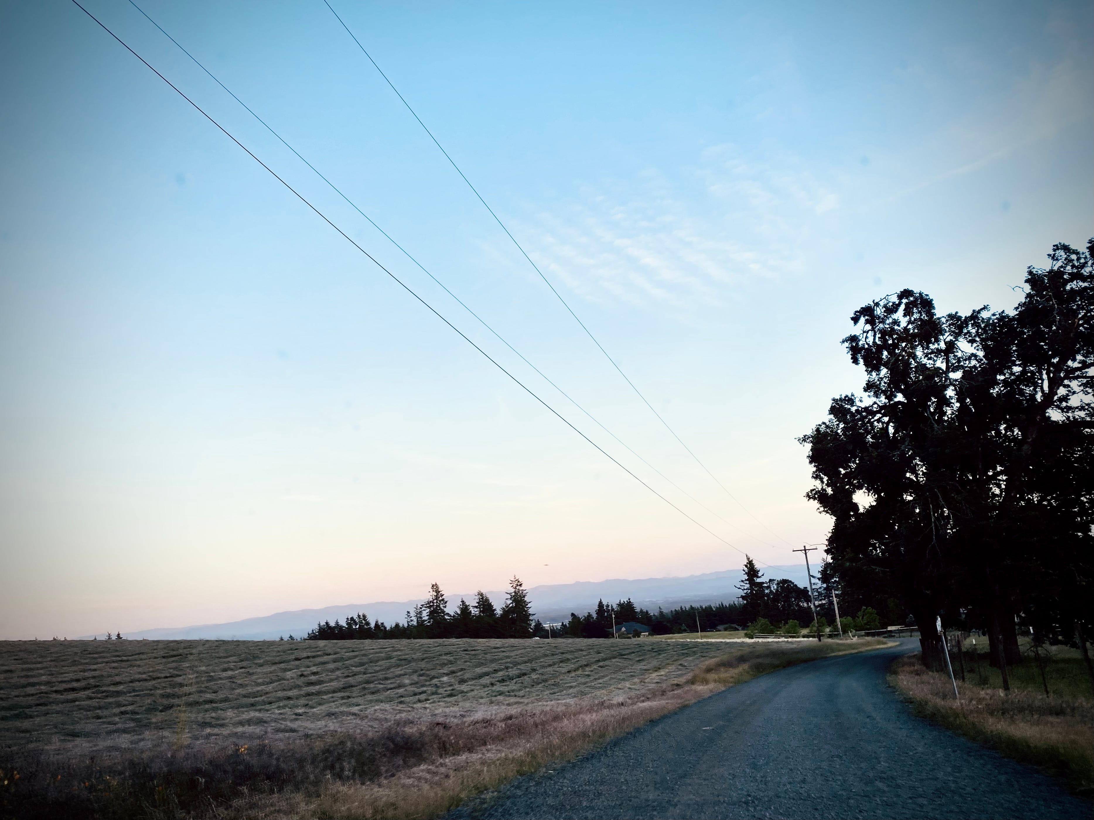 Connecting to Your Whole Self
