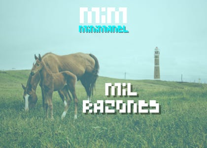 MiM Minimanel