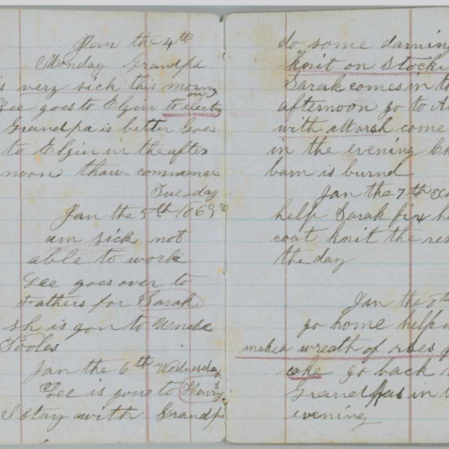 BONUS CONTENT: Rural Canadian History Moment - Diary of Jemima Ripley (1850-1919)