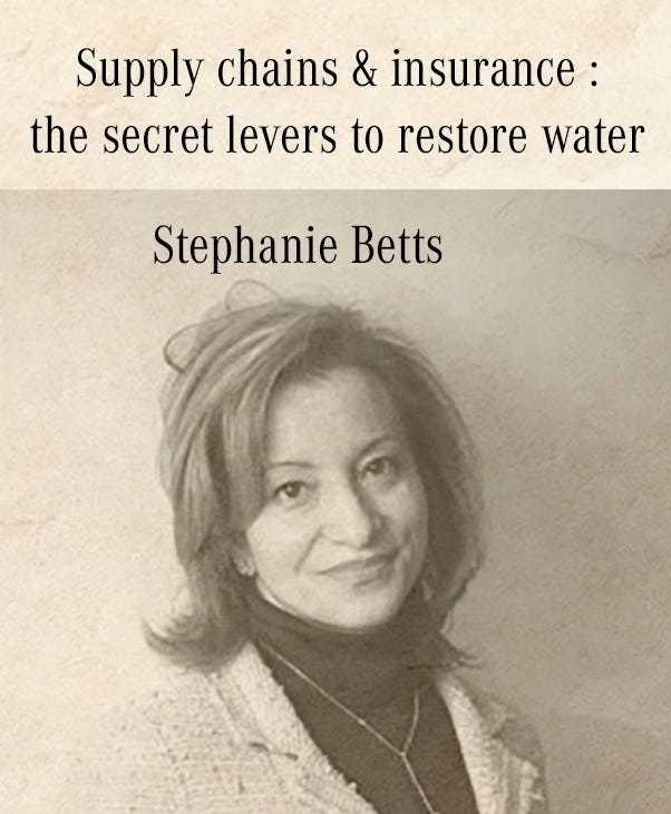 Supply chains & insurance: the secret levers to restore water - Stephanie Betts