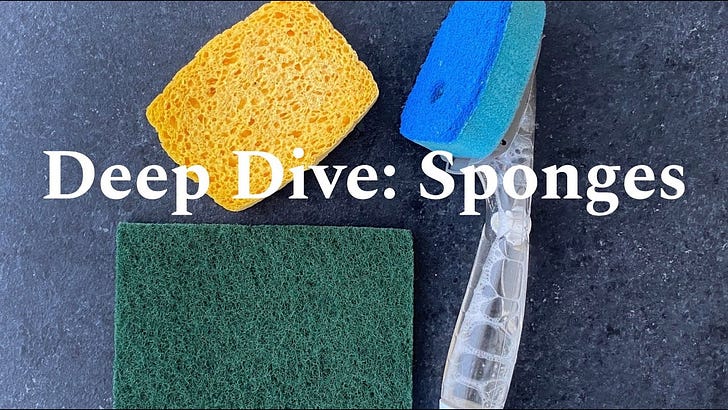 Deep Dive: Sponges 🧽 episode artwork