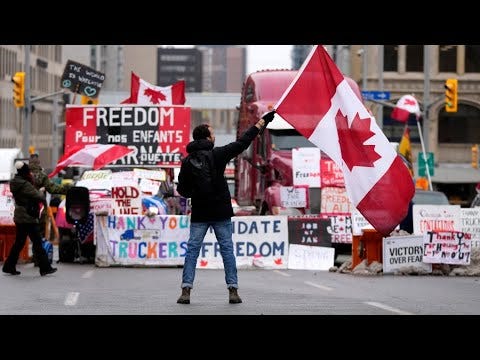 FREEDOM IN FOCUS