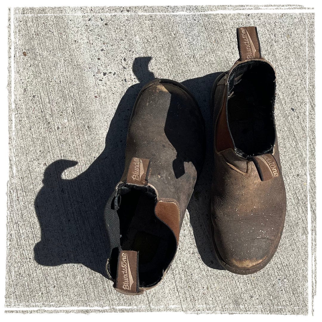 Bootstraps III episode artwork