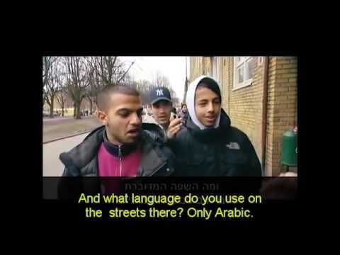 Lens & Land: Dispatches from Israel - The Podcast