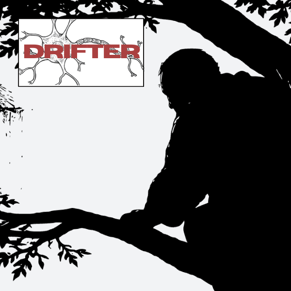 DRIFTER #20: Sycamore  episode artwork