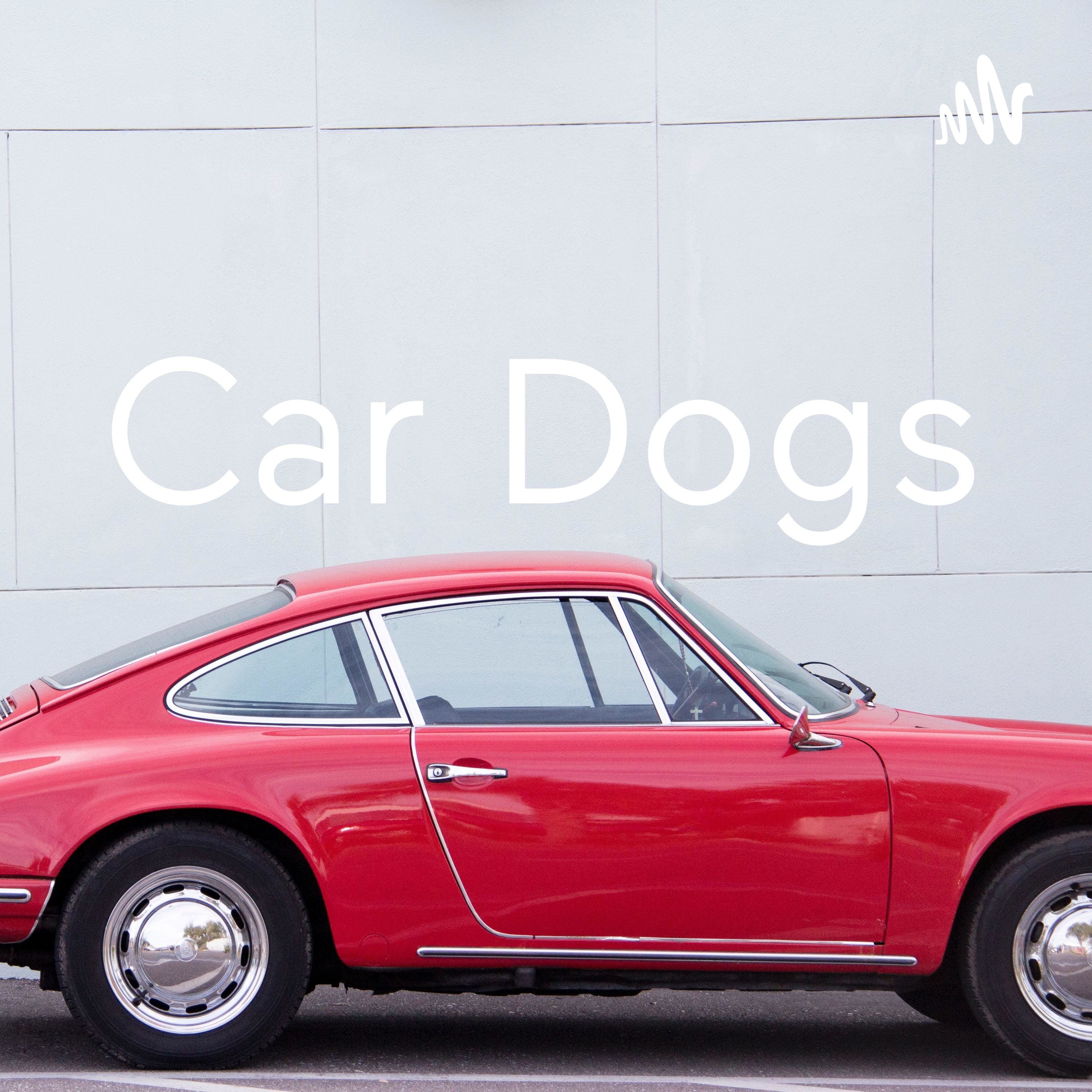 Car Dogs