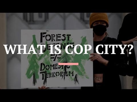 Dispatches from Atlanta and the Movement to Stop Cop City episode artwork