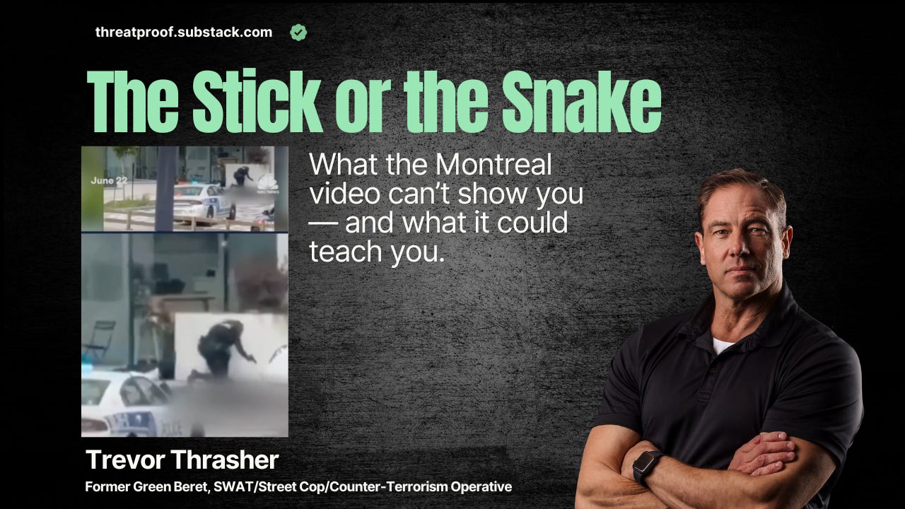 The Stick or the Snake episode artwork