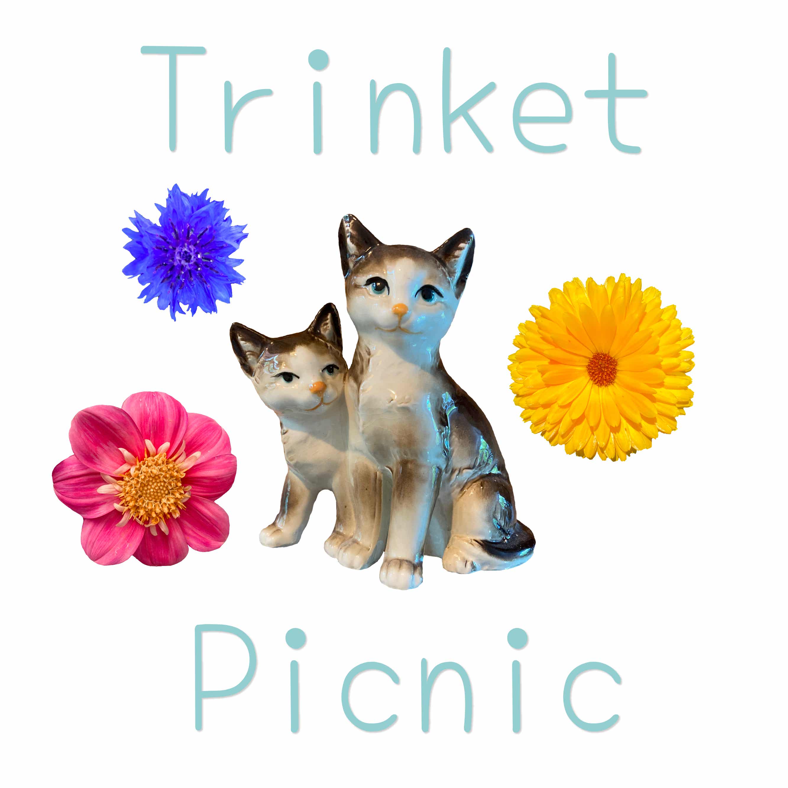 Trinket Picnic Podcast