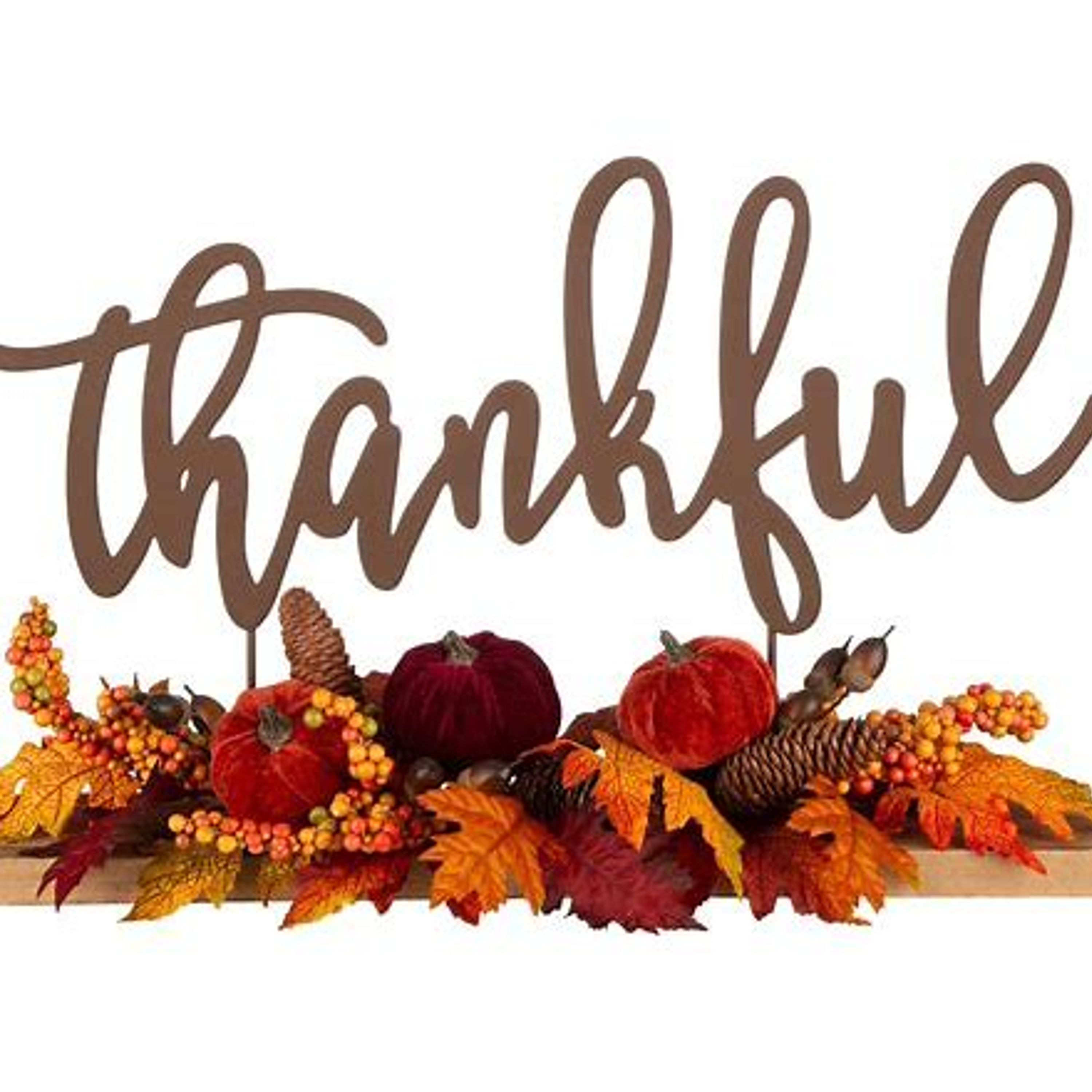 Things We're Thankful For