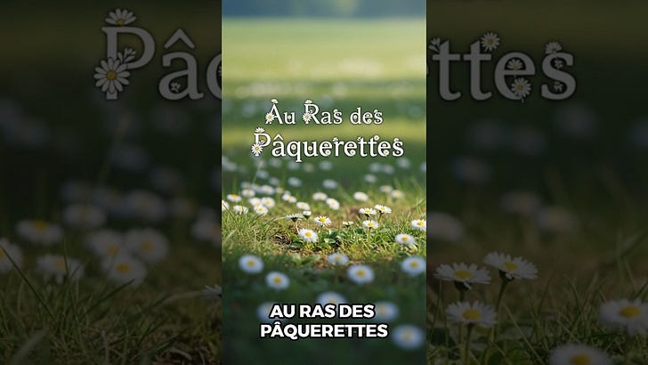 Au ras des pâquerettes – Une expression pour dire sans profondeur episode artwork