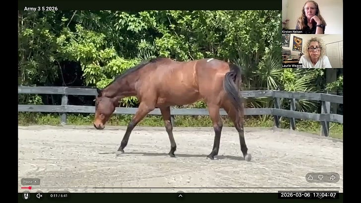 218: Why Put Tape On Your Horse's Butt?