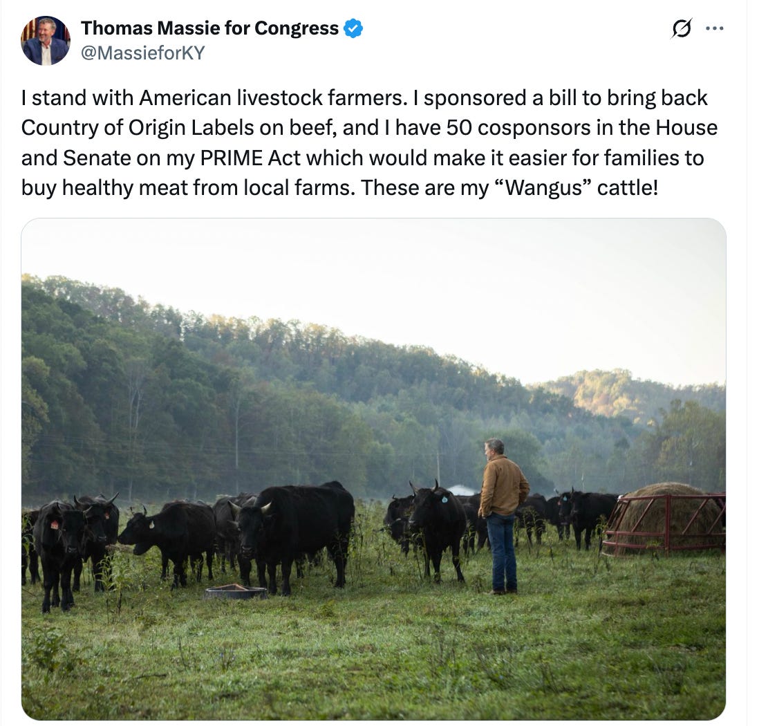 The Todd Herman Show