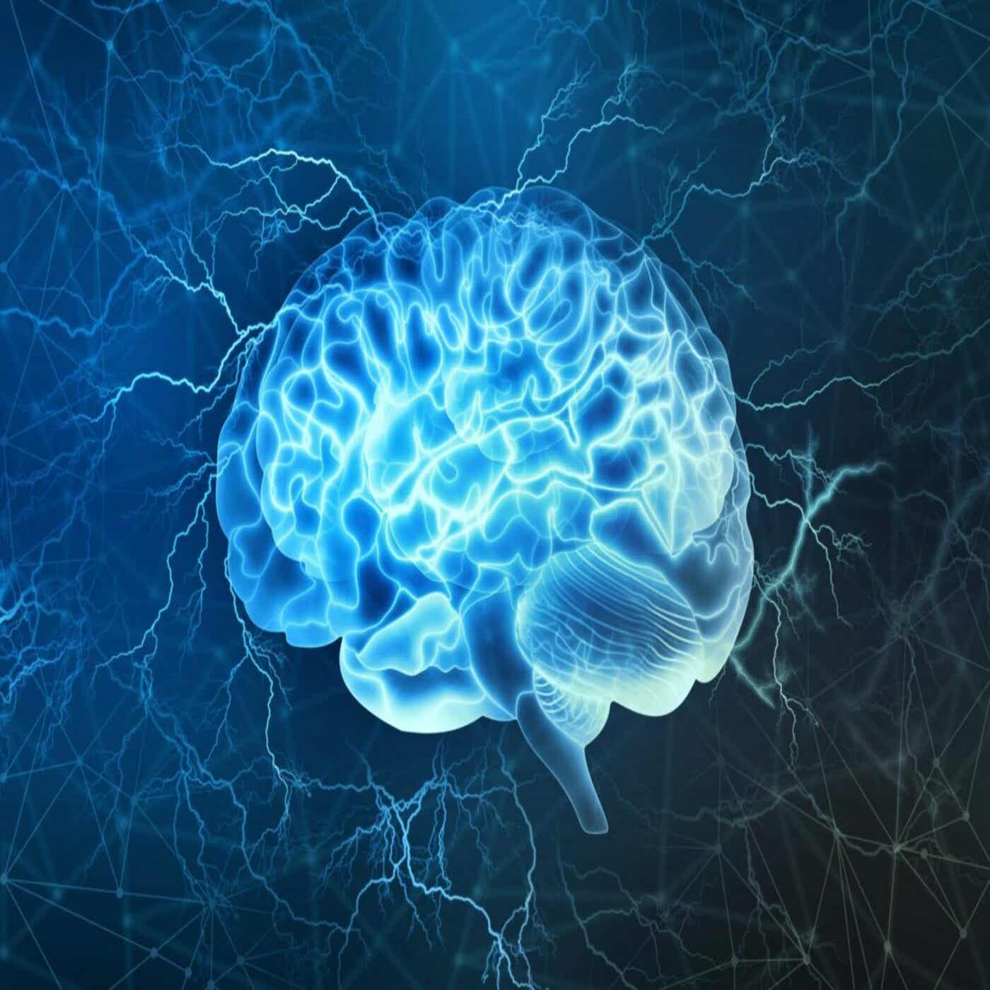 NeuroMod
