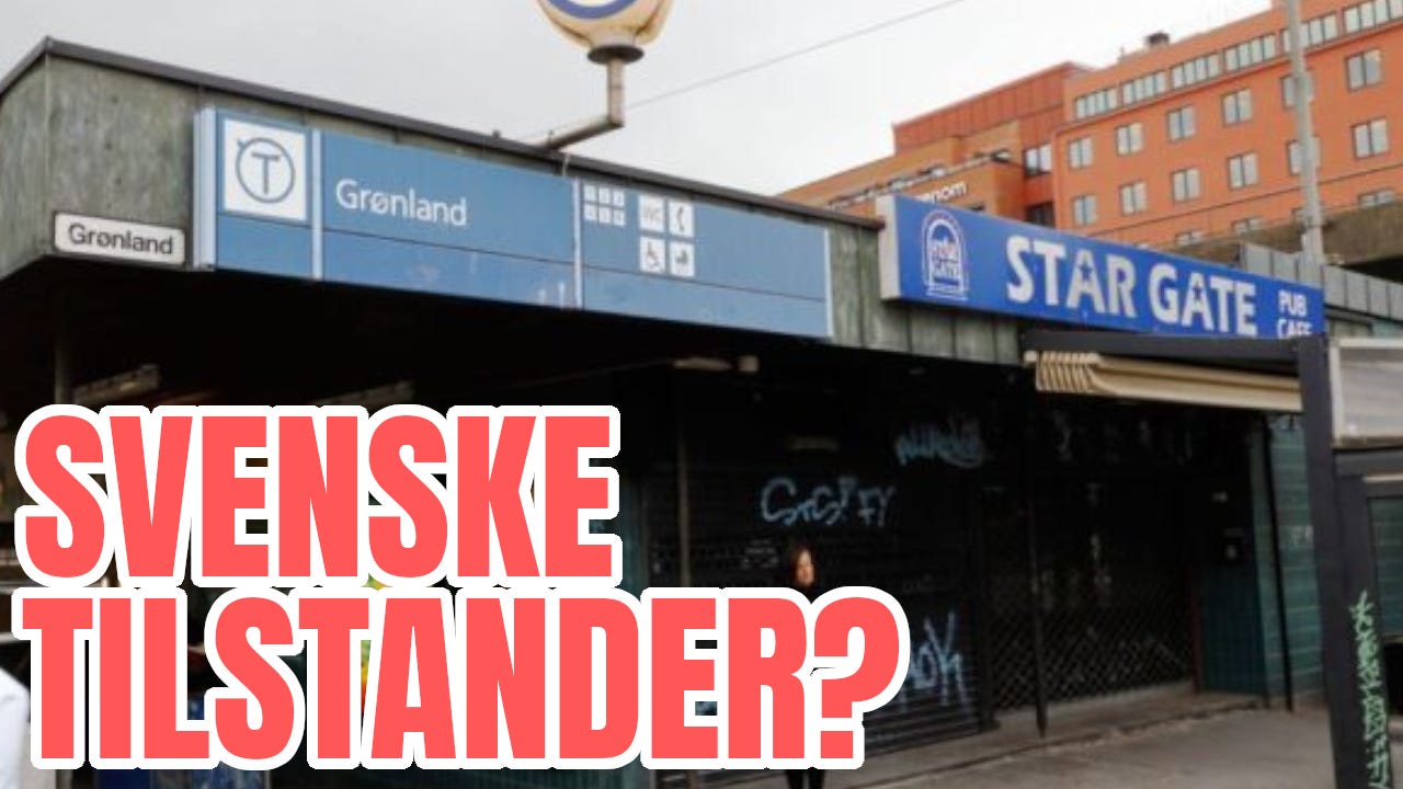 #89 Demonstrasjon i Oslo under AfD-politikerbesøk