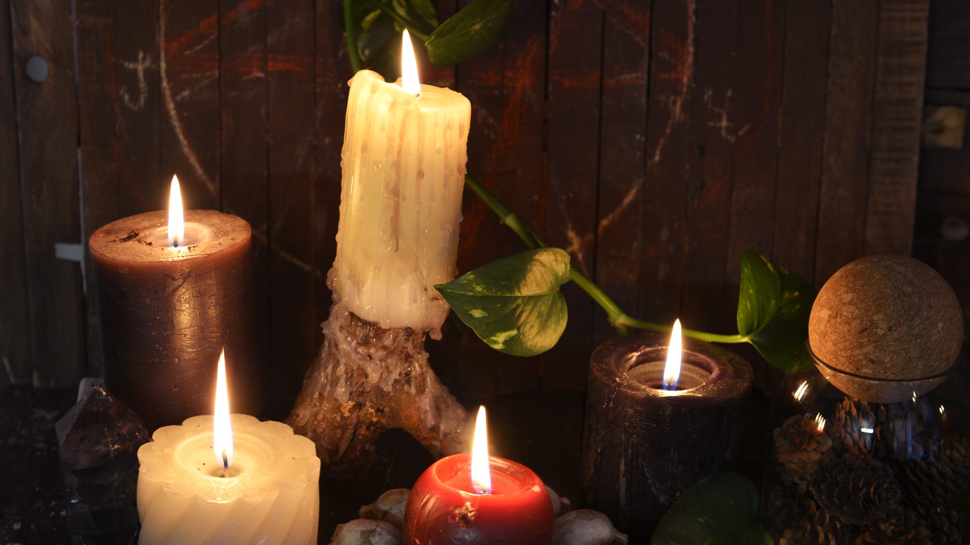 The Order Of Velvet Bite