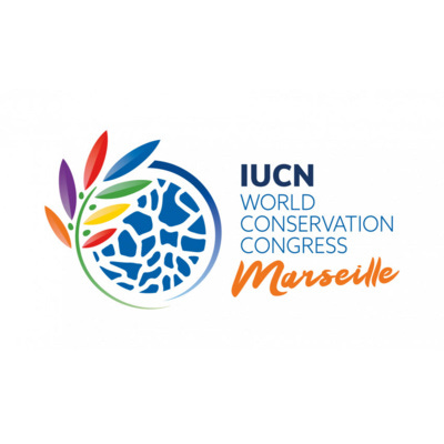 REEF Roundup: Marine Conservation Podcast