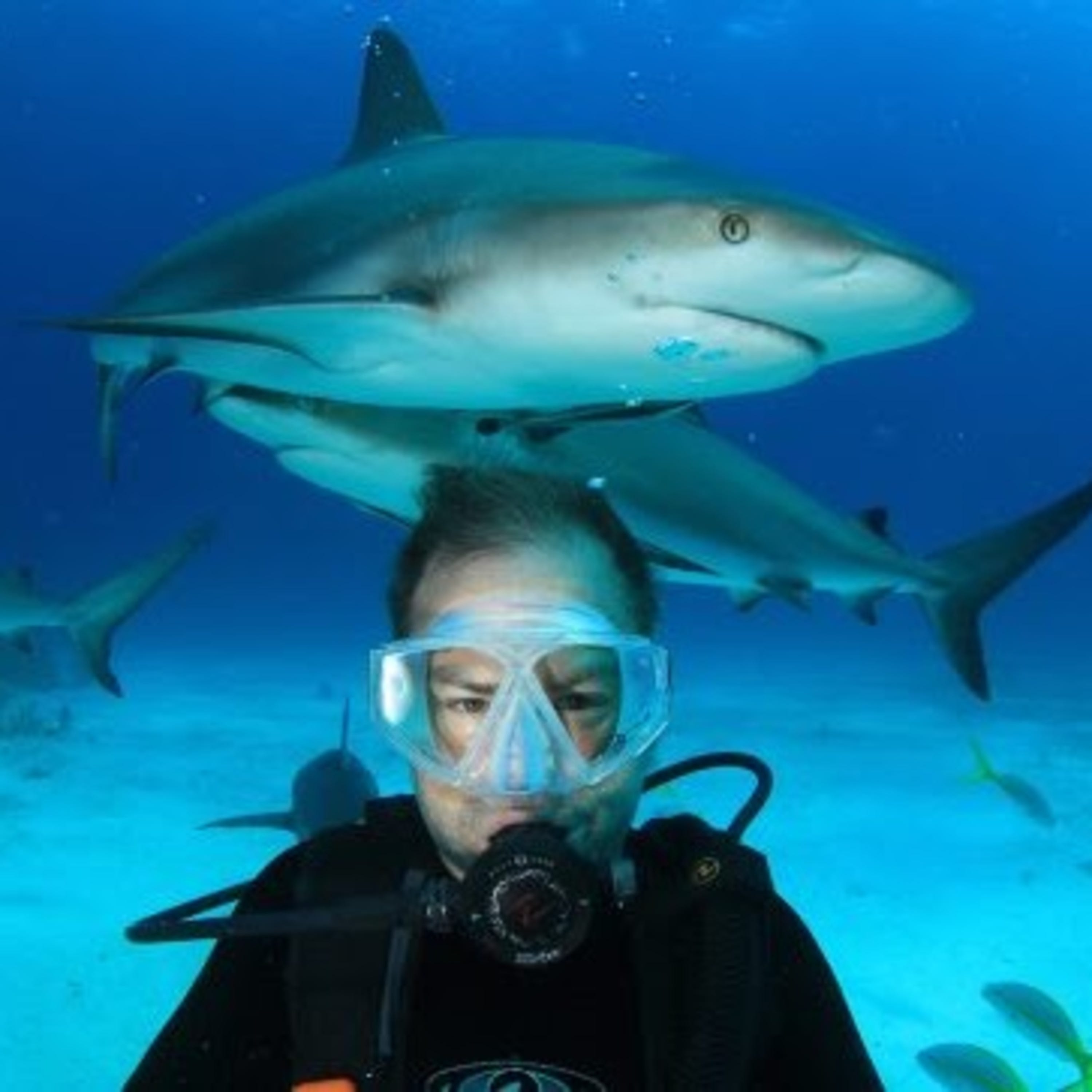 REEF Roundup: Marine Conservation Podcast