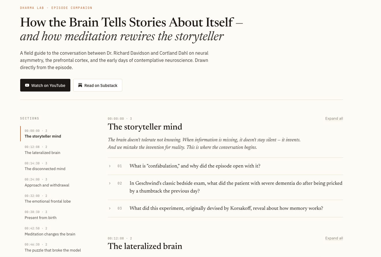 DL Ep. 31: Your Brain Is a Storyteller episode artwork