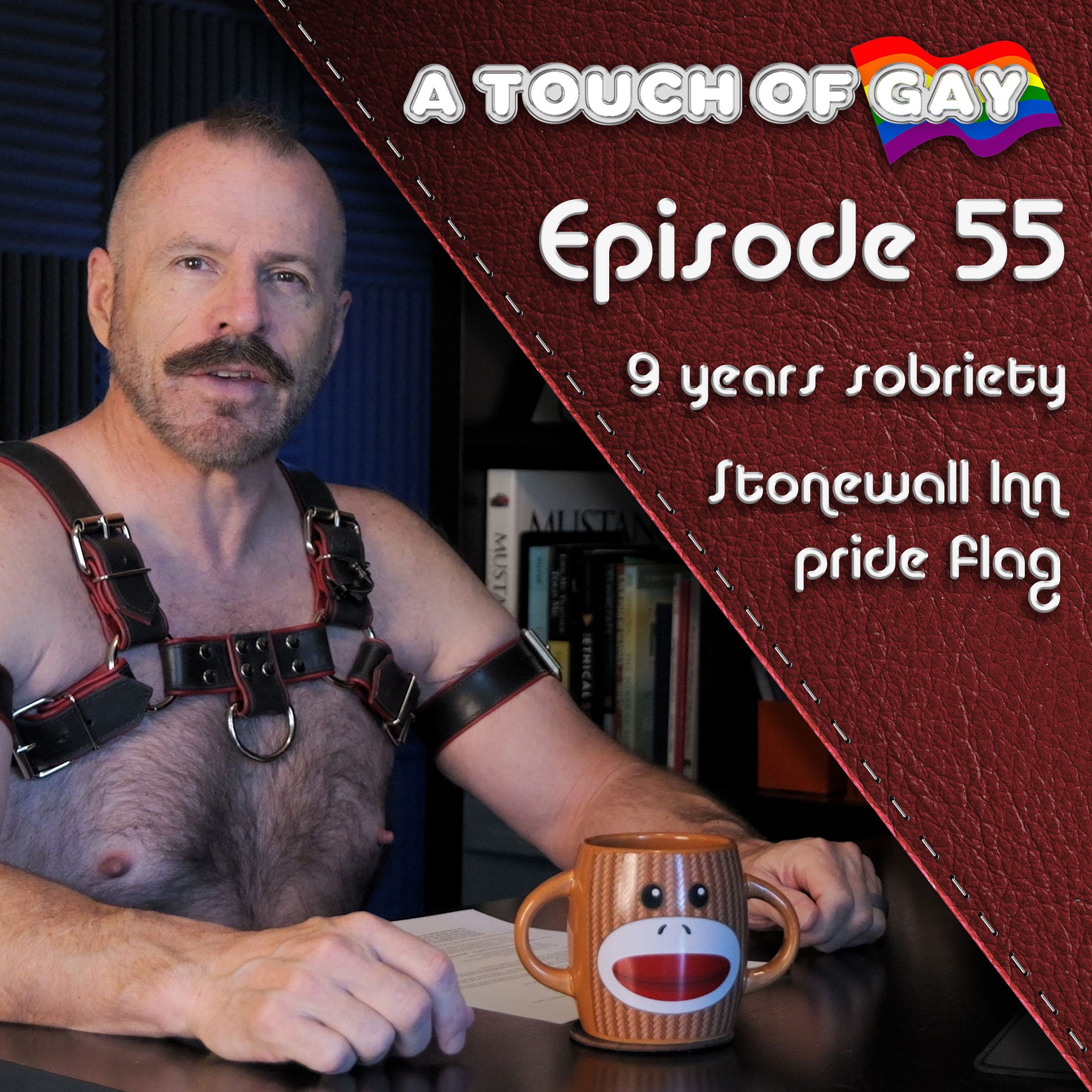 A Touch Of Gay #55: Nine Years Sober, Pride Flag Flies Again At Stonewall