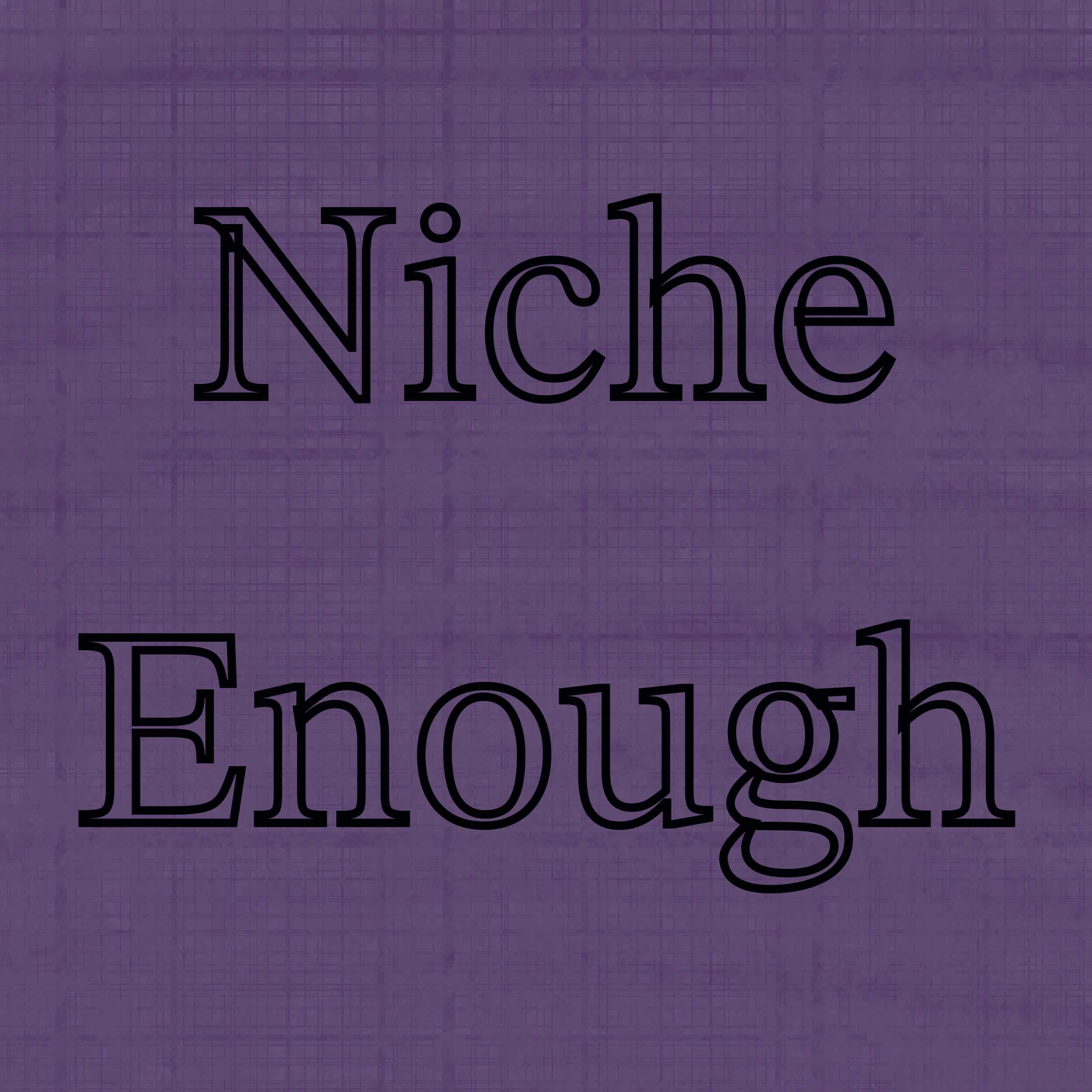 Niche Enough Podcast podcast artwork